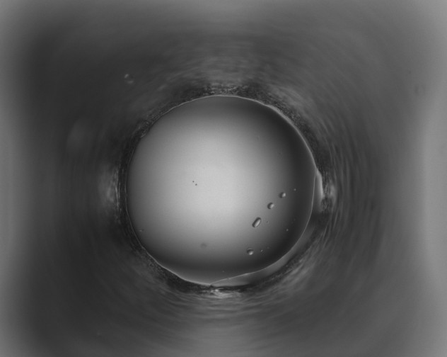 X0000089671252200706281333