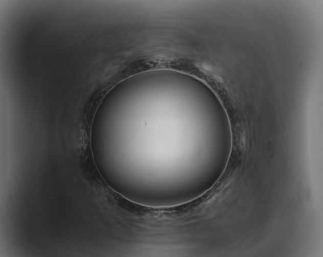 X0000089671253200706281333