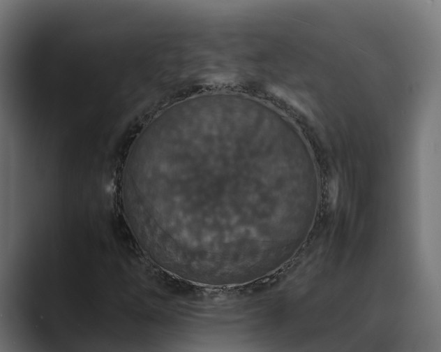X0000089671254200706281333