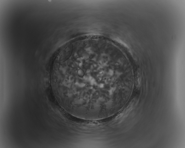 X0000089671255200706281333