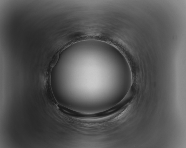 X0000089671257200706281333