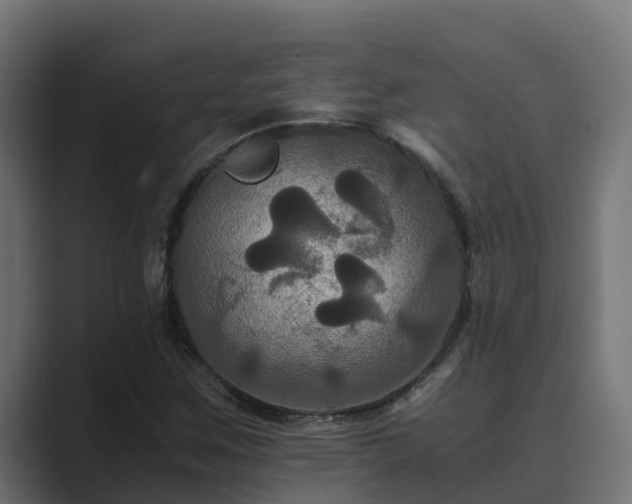 X0000089671259200706281333