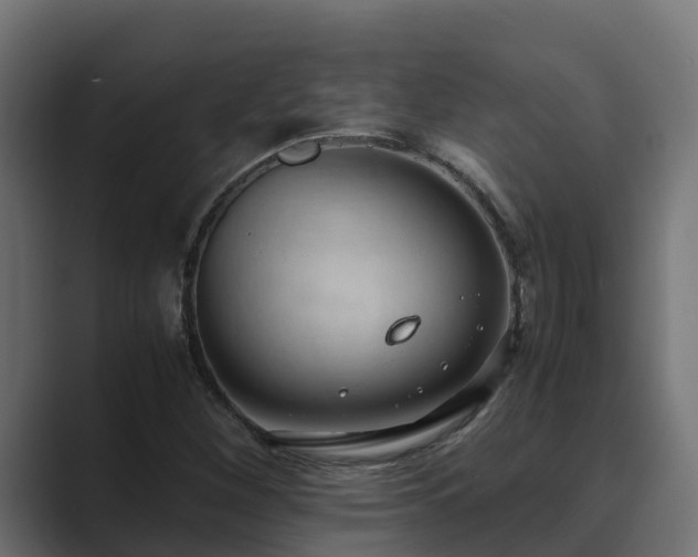 X0000089671260200706281333