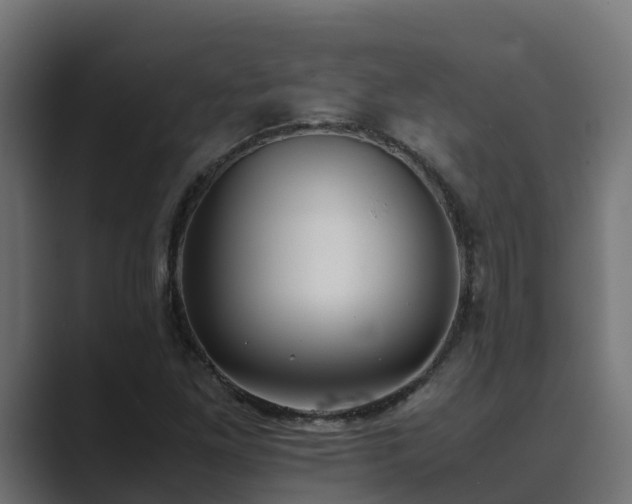 X0000089671261200706281333