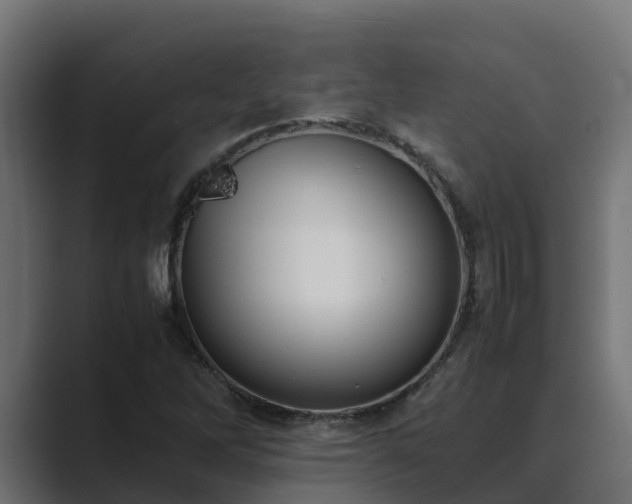 X0000089671262200706281333