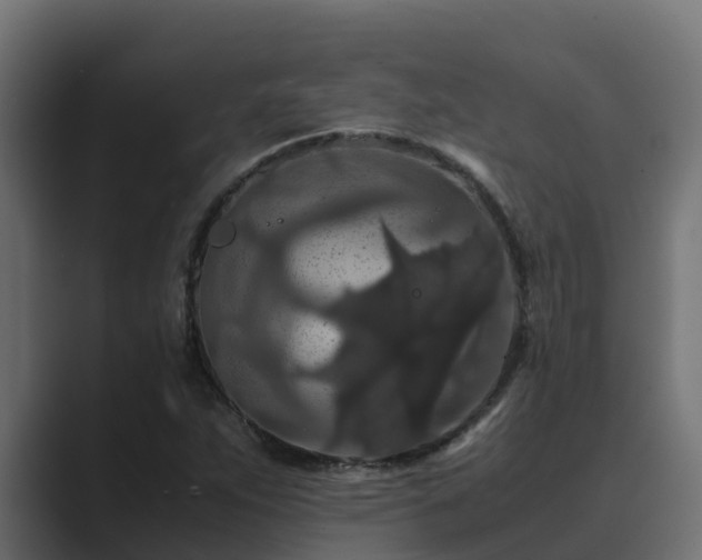 X0000089671263200706281333