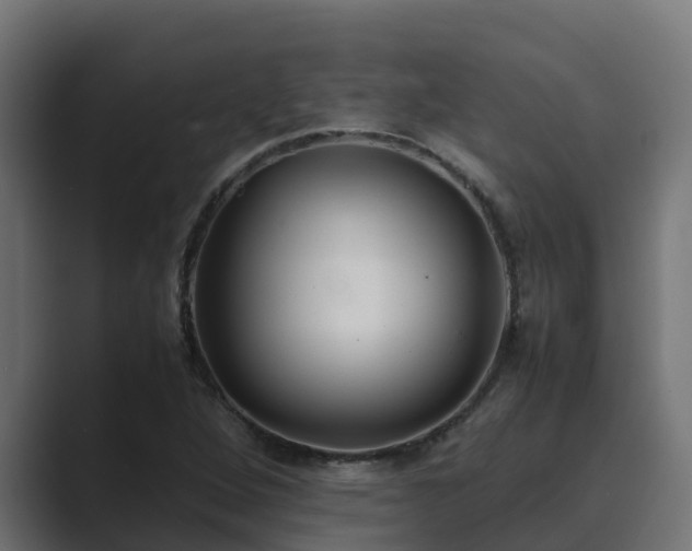X0000089671264200706281333