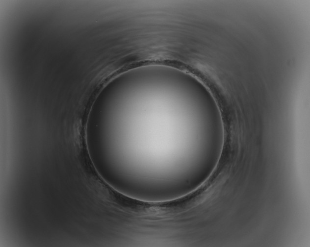 X0000089671265200706281333