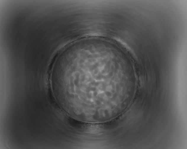X0000089671266200706281333