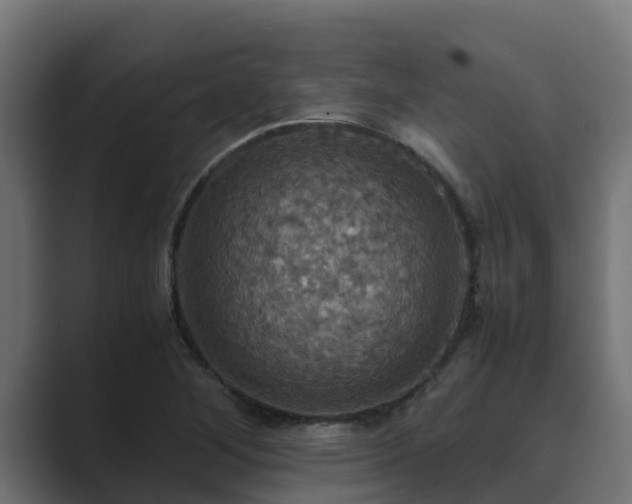 X0000089671268200706281333