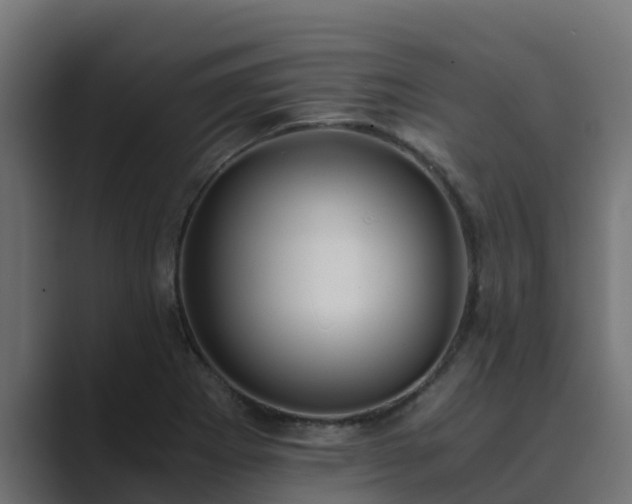 X0000089671273200706281333