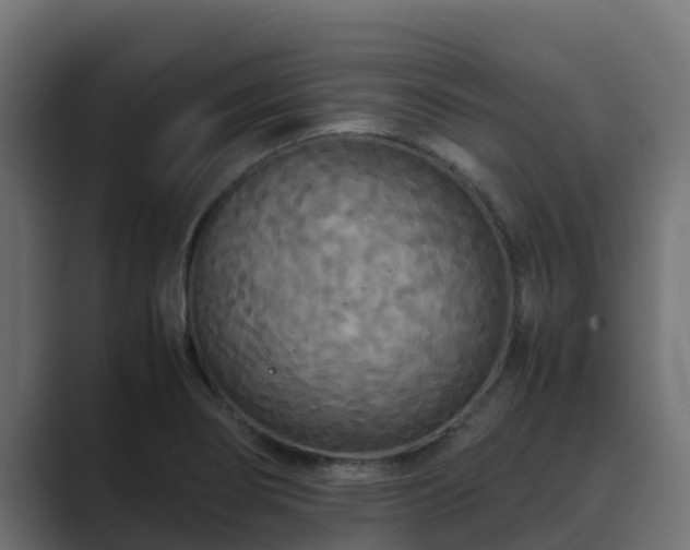 X0000089671274200706281333