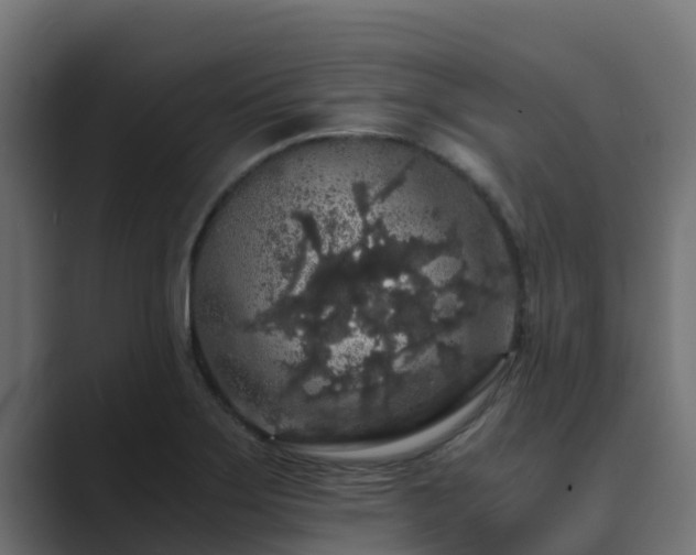 X0000089671275200706281333