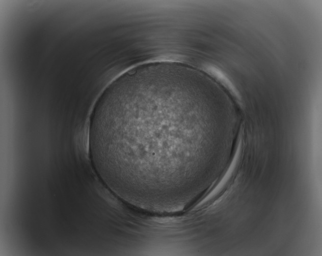 X0000089671276200706281333