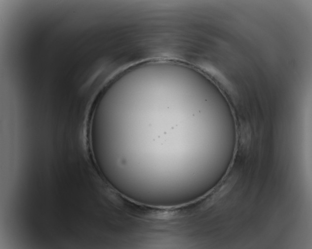 X0000089671278200706281333