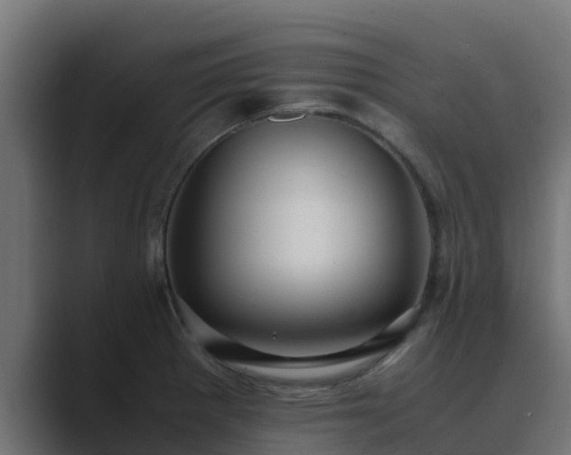X0000089671281200706281333