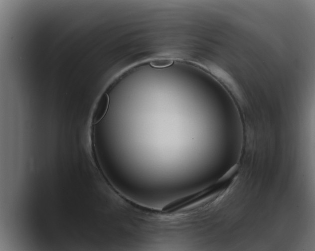 X0000089671288200706281333
