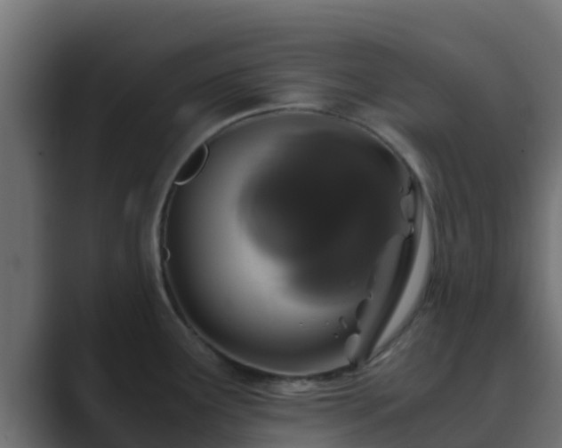 X0000089671291200706281333
