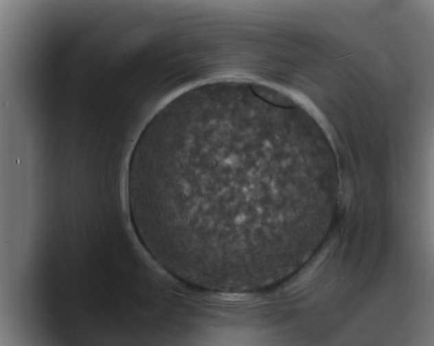 X0000089671295200706281332