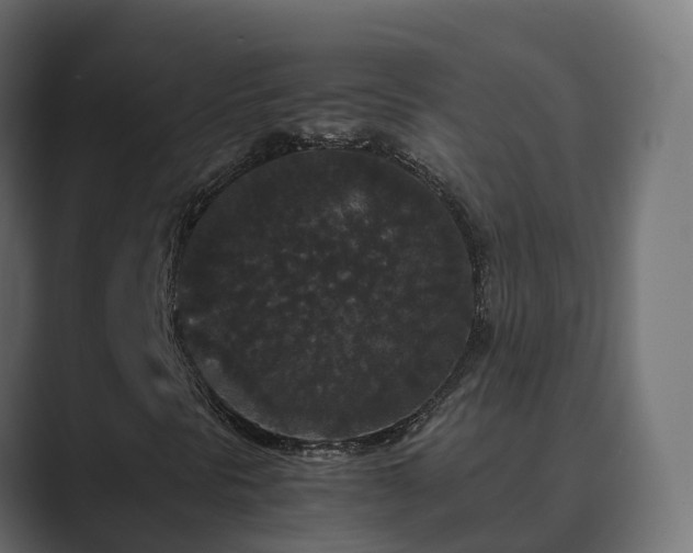 X0000089671297200706281332