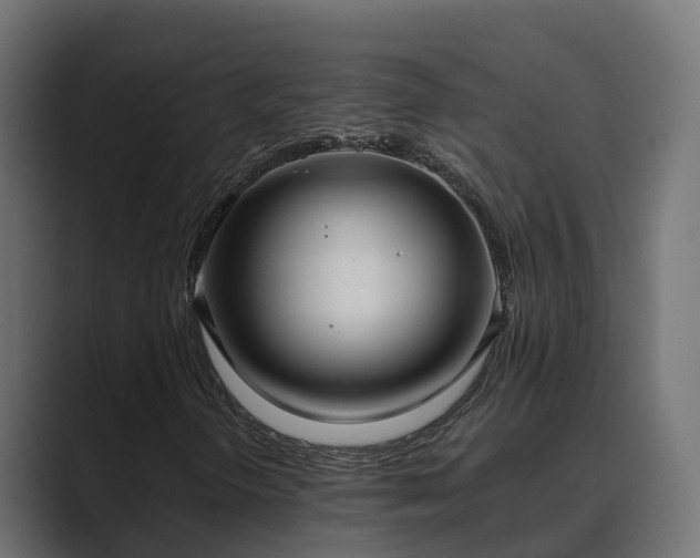 X0000089671298200706281332