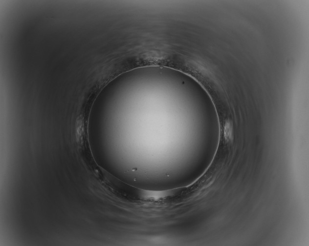 X0000089671299200706281332
