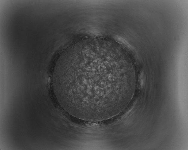 X0000089671302200706281332