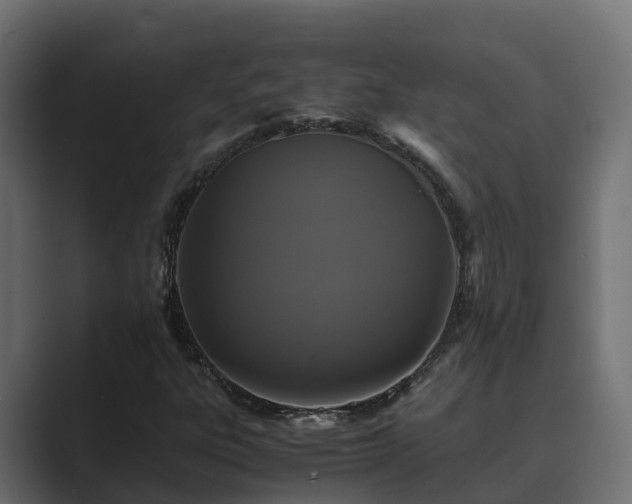 X0000089671303200706281332