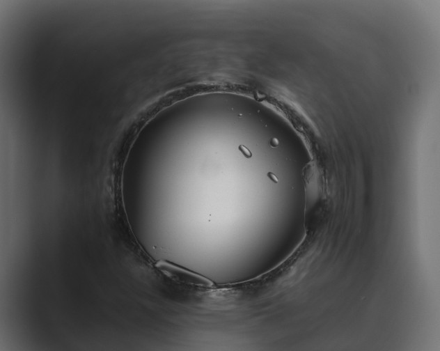 X0000089671304200706281332