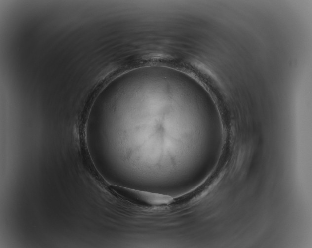 X0000089671305200706281332