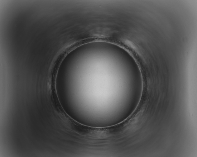X0000089671307200706281332