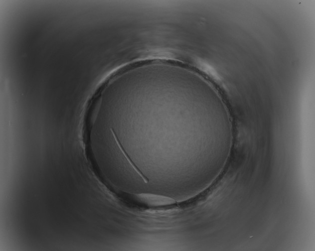 X0000089671312200706281332