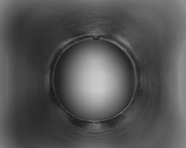 X0000089671315200706281332