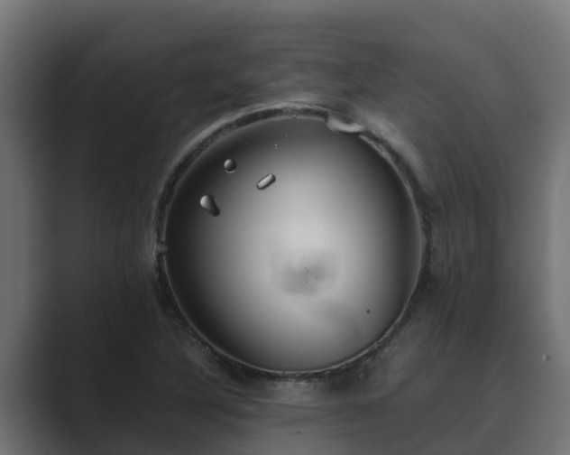 X0000089671316200706281332
