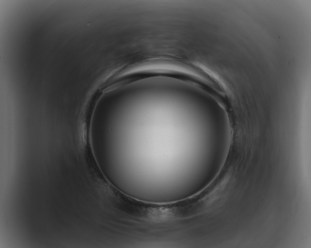 X0000089671317200706281332