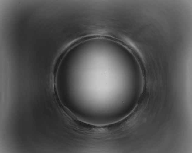 X0000089671320200706281332