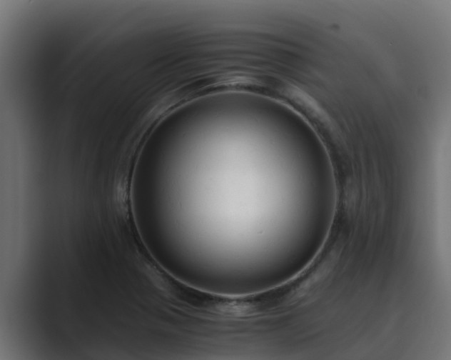 X0000089671321200706281332