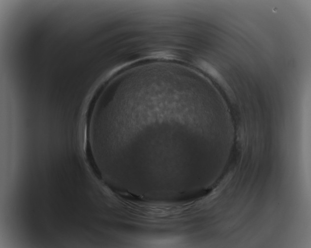 X0000089671323200706281332