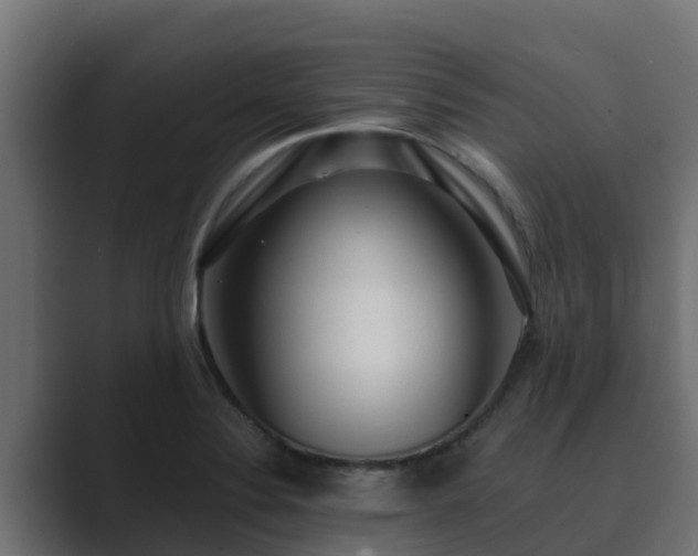 X0000089671324200706281332