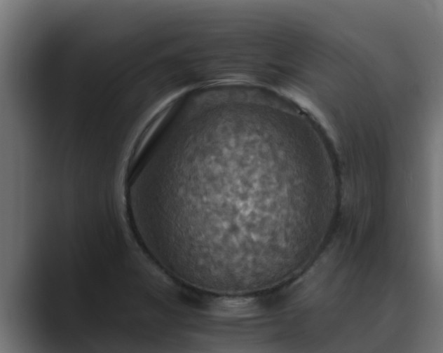 X0000089671325200706281332