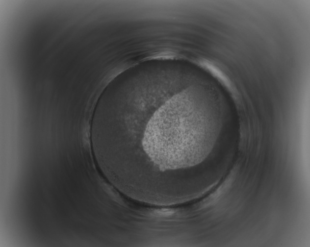 X0000089671329200706281332