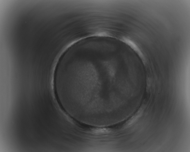X0000089671331200706281332