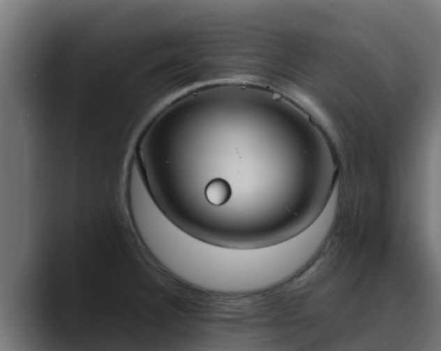 X0000089671332200706281332