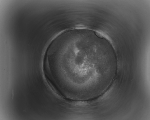 X0000089671333200706281332
