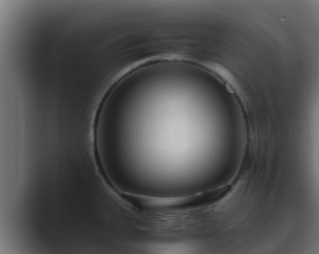 X0000089671335200706281332