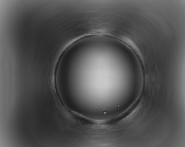 X0000089671336200706281332