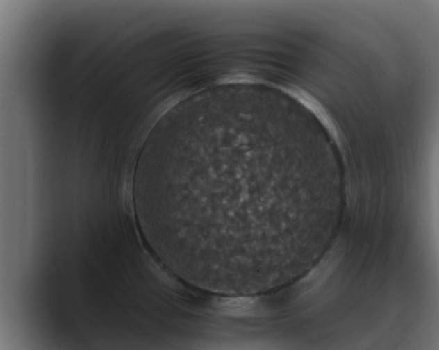 X0000089671337200706281332