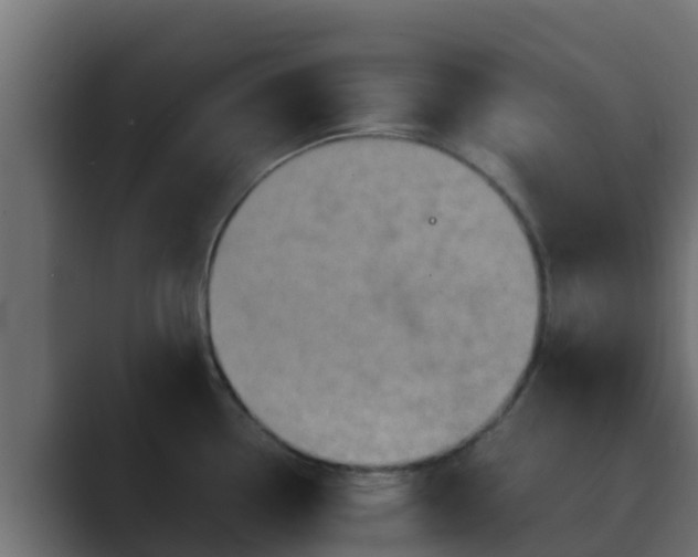 X0000089671338200706281332
