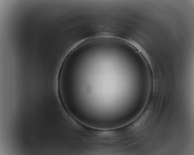 X0000089671341200706281332