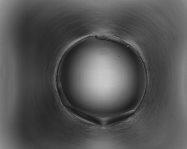 X0000089671344200706281332